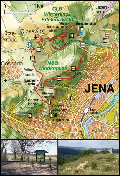 tl_files/dualingo_neu/News 2017 2018/Benefizlauf_Windknollen.jpg